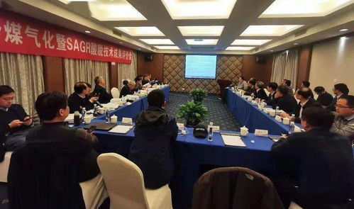 破局高灰熔点劣质煤 高效气化关键技术开发成果通过权威评审