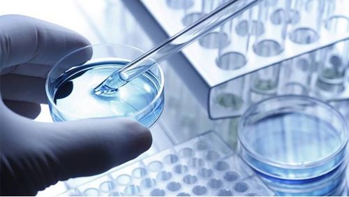 龙池牡丹 紧抓二产，深挖科研，以技术服务驱动牡丹精品驶入市场蓝海